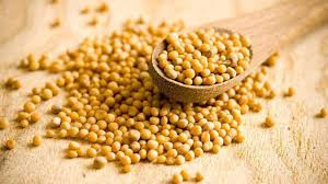 Mustard Seed 200g